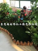 辦公室綠植租賃：營造良